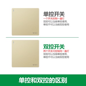 公牛(BULL) 开关插座 G12系列 二位单极二开单控开关86型暗装大面板开关G12K211 香槟金