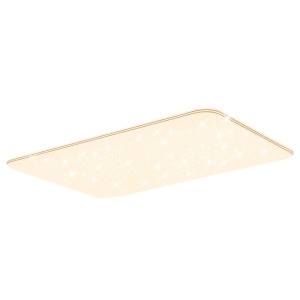 雷士（NVC）LED吸顶灯 长方形客厅灯卧室灯餐厅灯具 轻奢现代简约智控调光灯饰